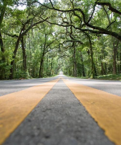 A beautiful view of Brooksville