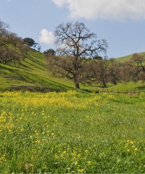 Una bonita panorámica de Gilroy