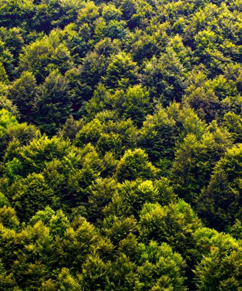 Una panoràmica bonica de Castrop-Rauxel