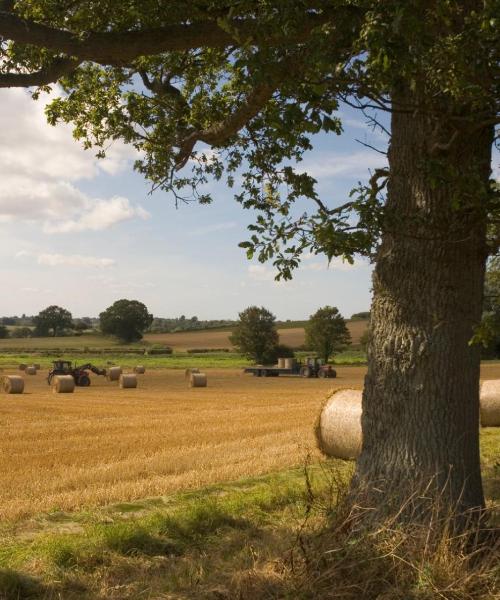 Una panoràmica bonica de Highworth