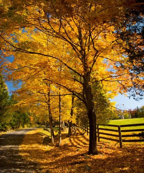 Una bonita panorámica de Ridgefield