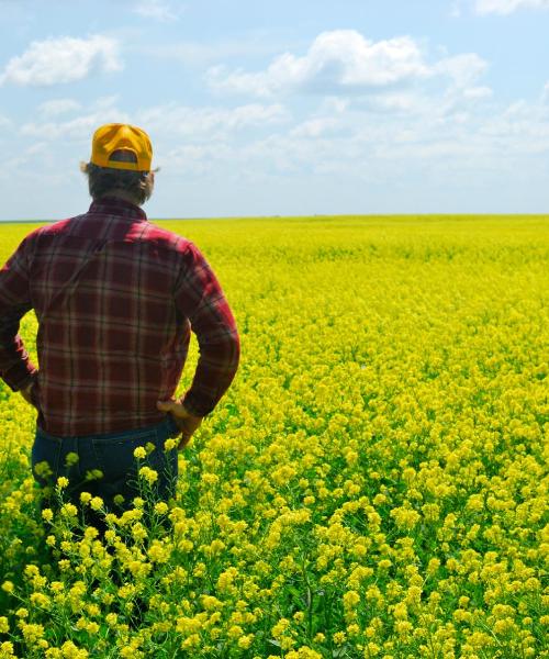 Όμορφη θέα του προορισμού Lloydminster