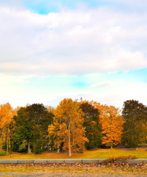 Una bellissima vista di Ardsley