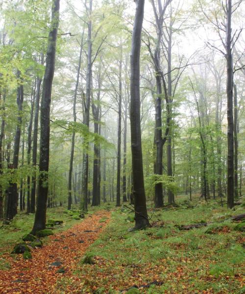 Krásny pohľad na mesto Saint Die