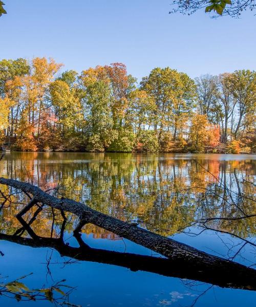 Una hermosa vista de Swedesboro