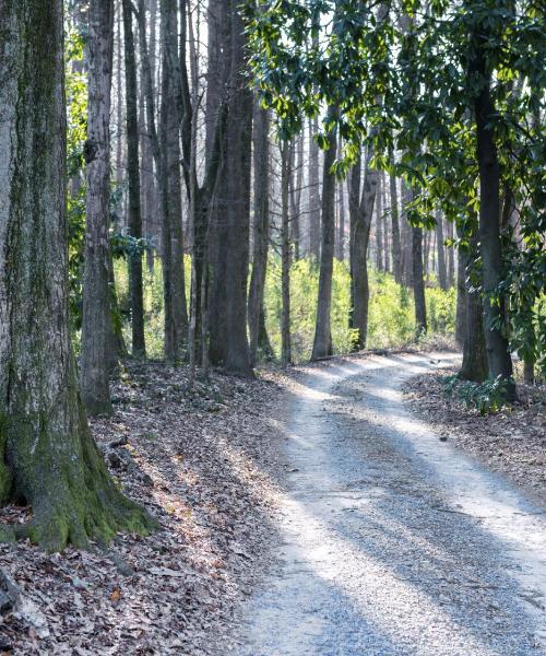 Pemandangan indah bagi Decatur