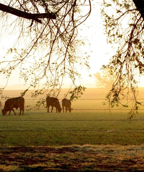 Una bonita panorámica de Enid