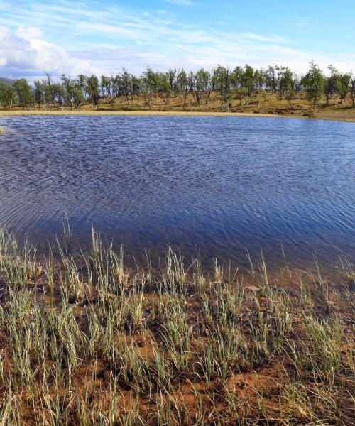 Pemandangan indah bagi Coldwater