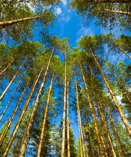 Krásny pohľad na mesto Kajaani