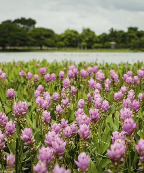 韋萊特里美景