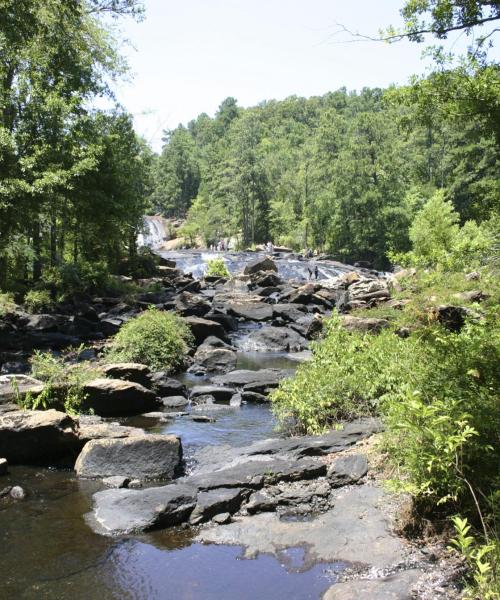 A beautiful view of Griffin