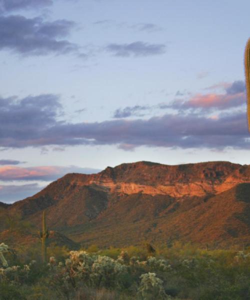 Una bonita panorámica de Sonora