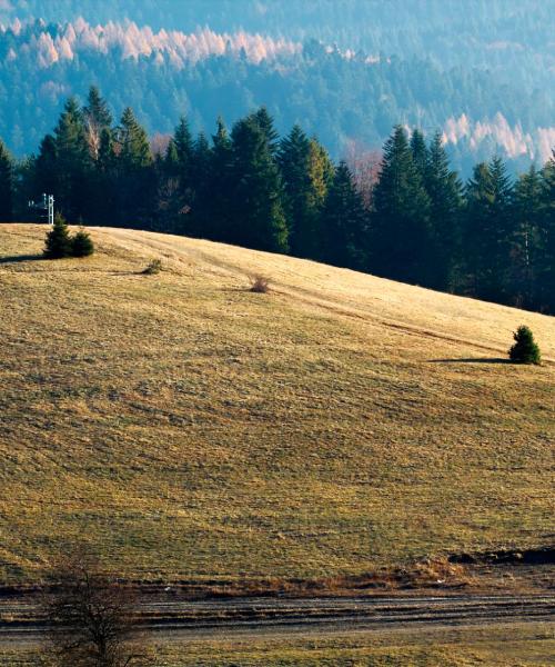 Piękny widok na miasto Nowy Sącz