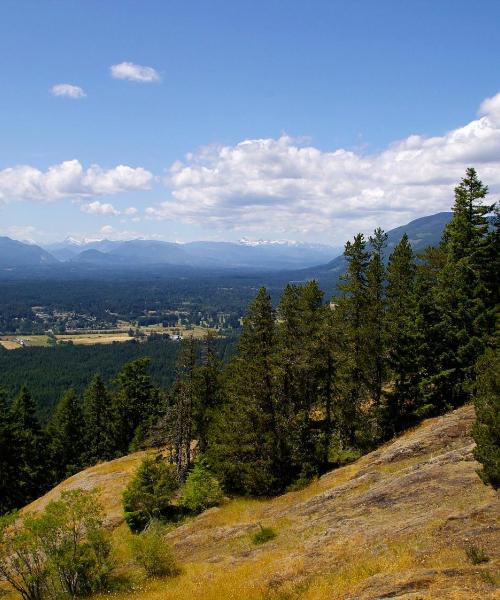 Piękny widok na miasto Port Alberni