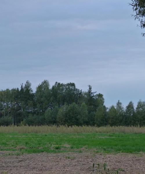 A beautiful view of Chełmno