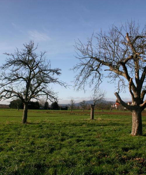 A beautiful view of Oberursel