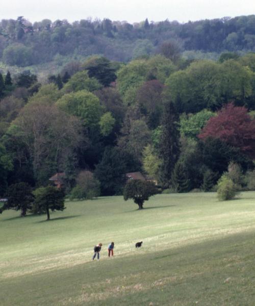 A beautiful view of Dorking – city popular among our users.