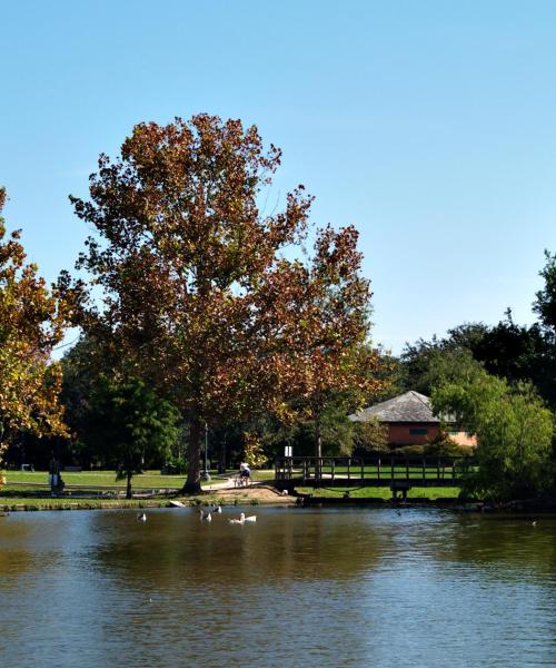 Uma bela vista de Metairie