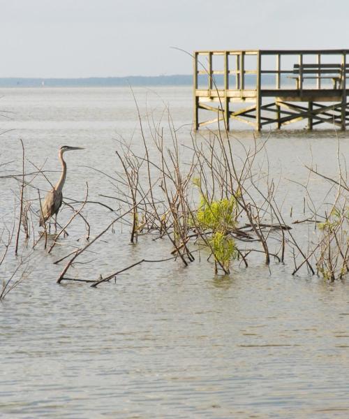 A beautiful view of Apopka.