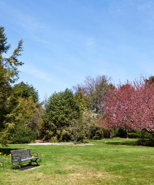 Una hermosa vista de Stony Brook