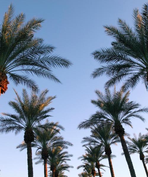 Ein schöner Blick auf Hialeah Gardens