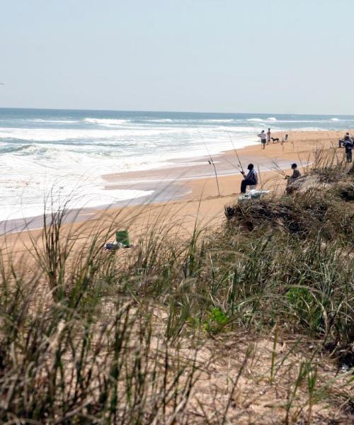 A beautiful view of Jacksonville Beach.