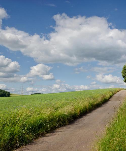 Una panoràmica bonica de Zittau