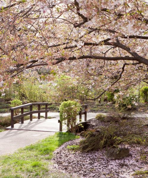 鳥栖市の美しい景色