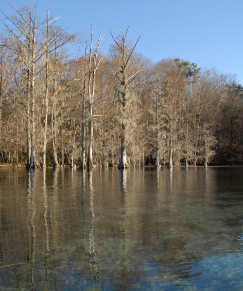 Una panoràmica bonica de Marianna