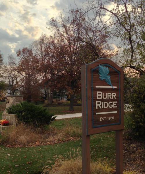 A beautiful view of Burr Ridge