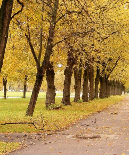 Kaunis näkymä kaupunkiin Florissant