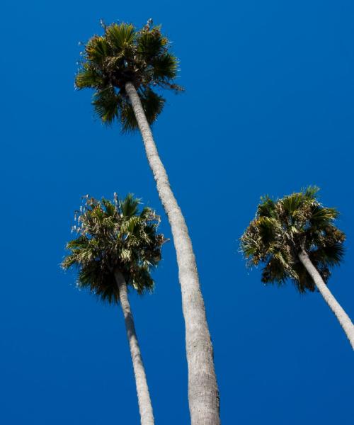 A beautiful view of Glendora