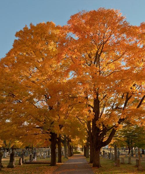 Una hermosa vista de Natick