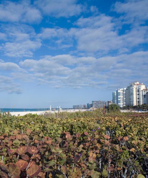 Una hermosa vista de Estero