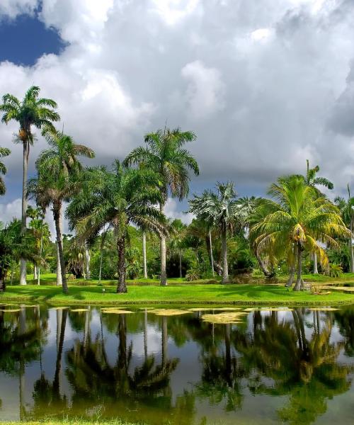 A beautiful view of Miami Gardens.