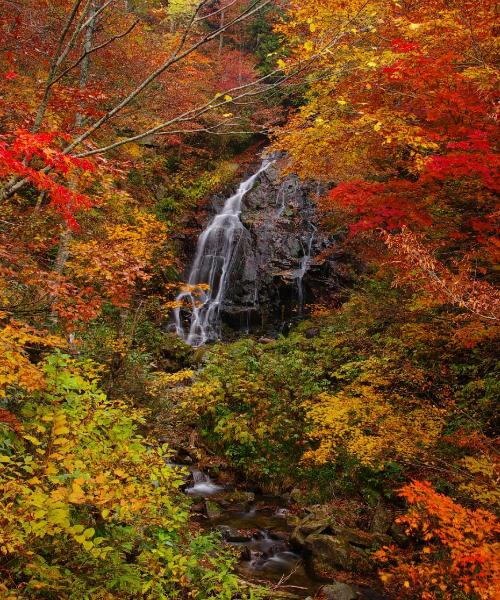 Een mooi uitzicht op Yonezawa