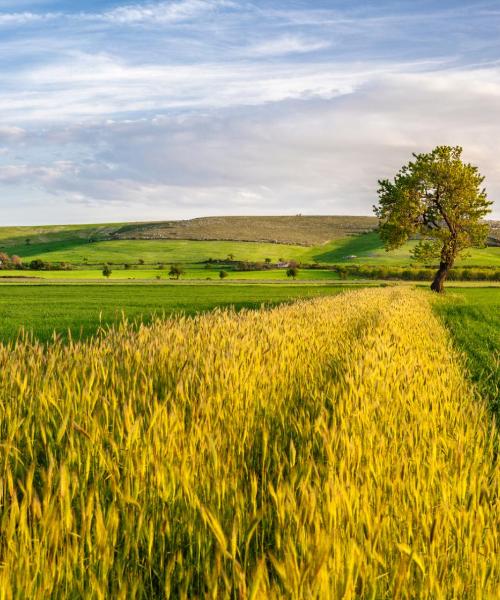 Una panoràmica bonica de Gioia del Colle