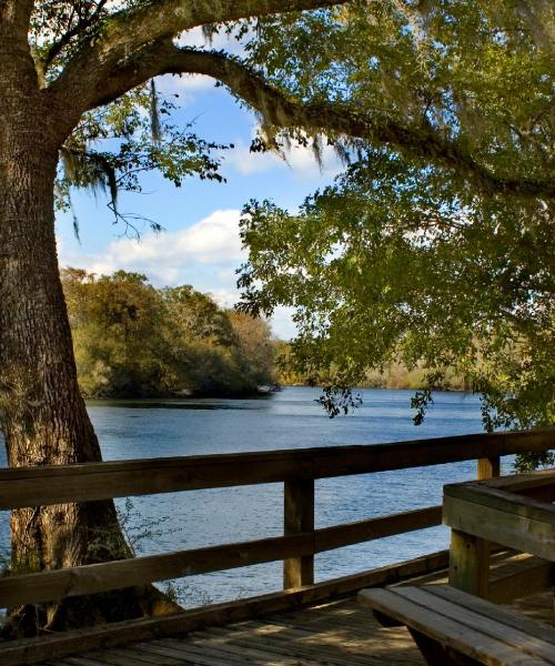 Una bonita panorámica de Suwanee