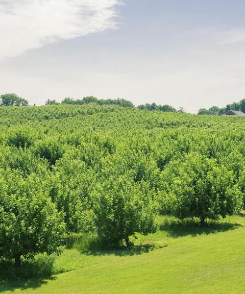 Una panoràmica bonica de Gaffney