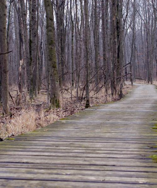 Piękny widok na miasto Basking Ridge