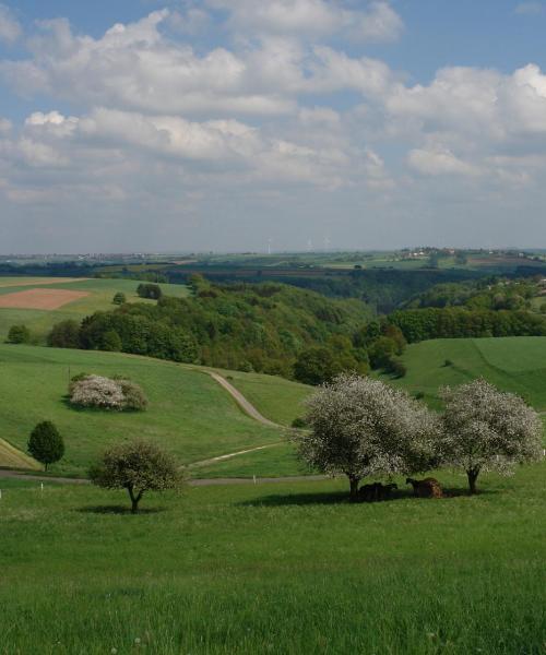 Ein schöner Blick auf Neumarkt in der Oberpfalz