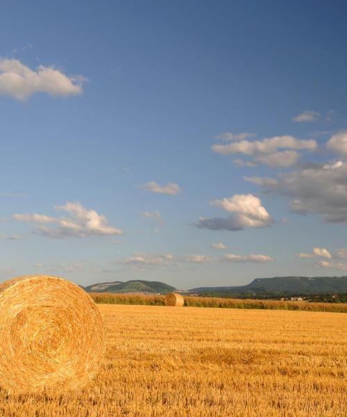 Una panoràmica bonica de Sangerhausen