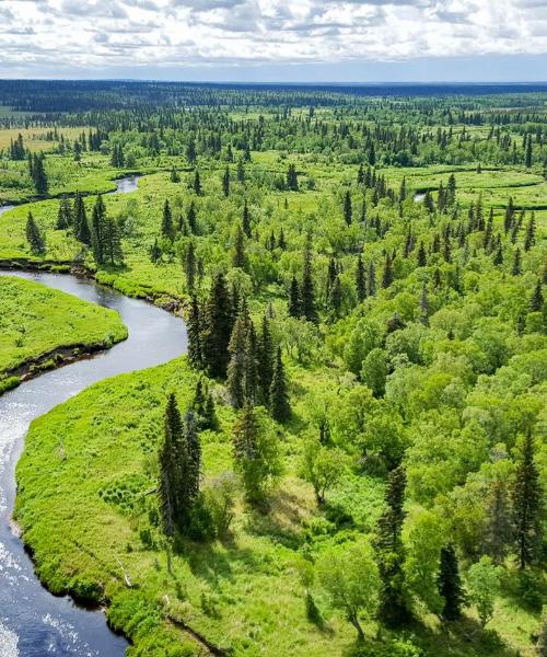 A beautiful view of King Salmon