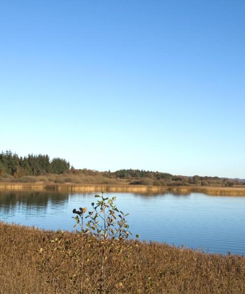 Krásný pohled na město Skanderborg