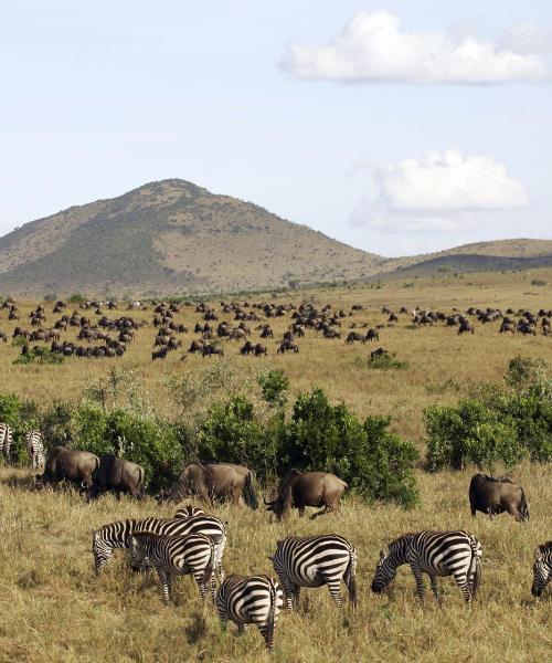 A beautiful view of Masai Mara