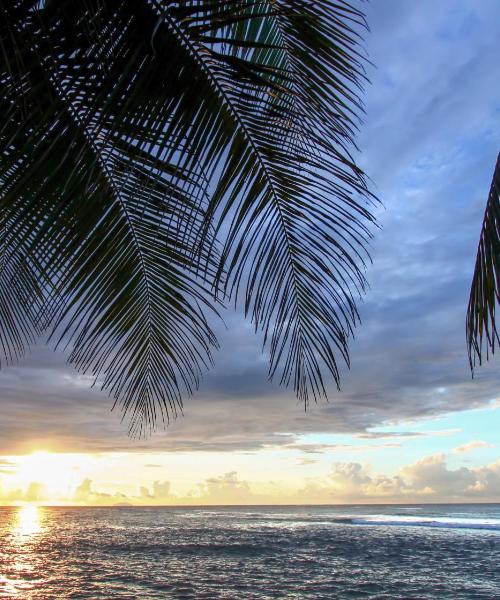 Ein schöner Blick auf Ceiba