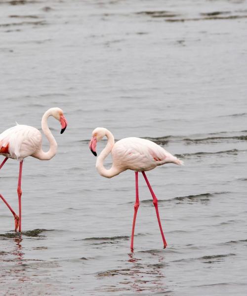 Ein schöner Blick auf Ondangwa