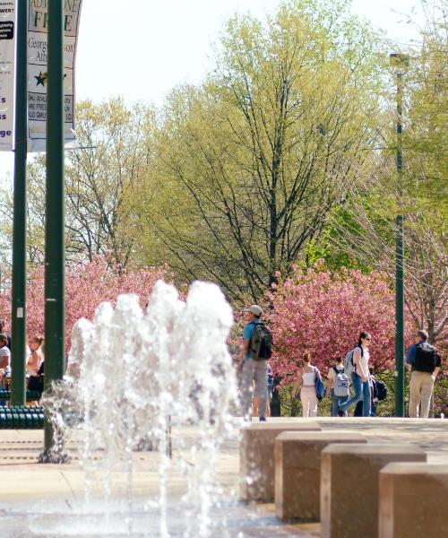 A beautiful view of Centreville