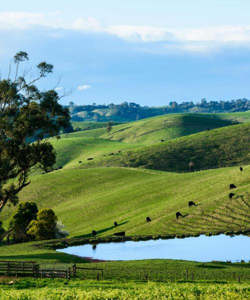 Una bonita panorámica de Traralgon