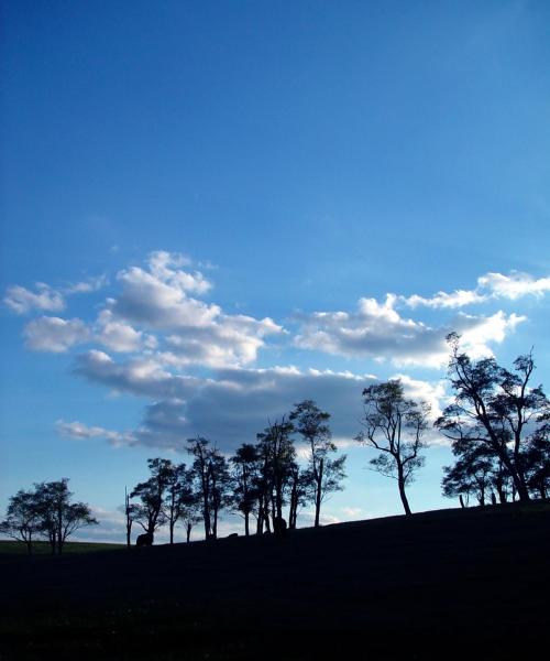 Una bonita panorámica de Campbellsville